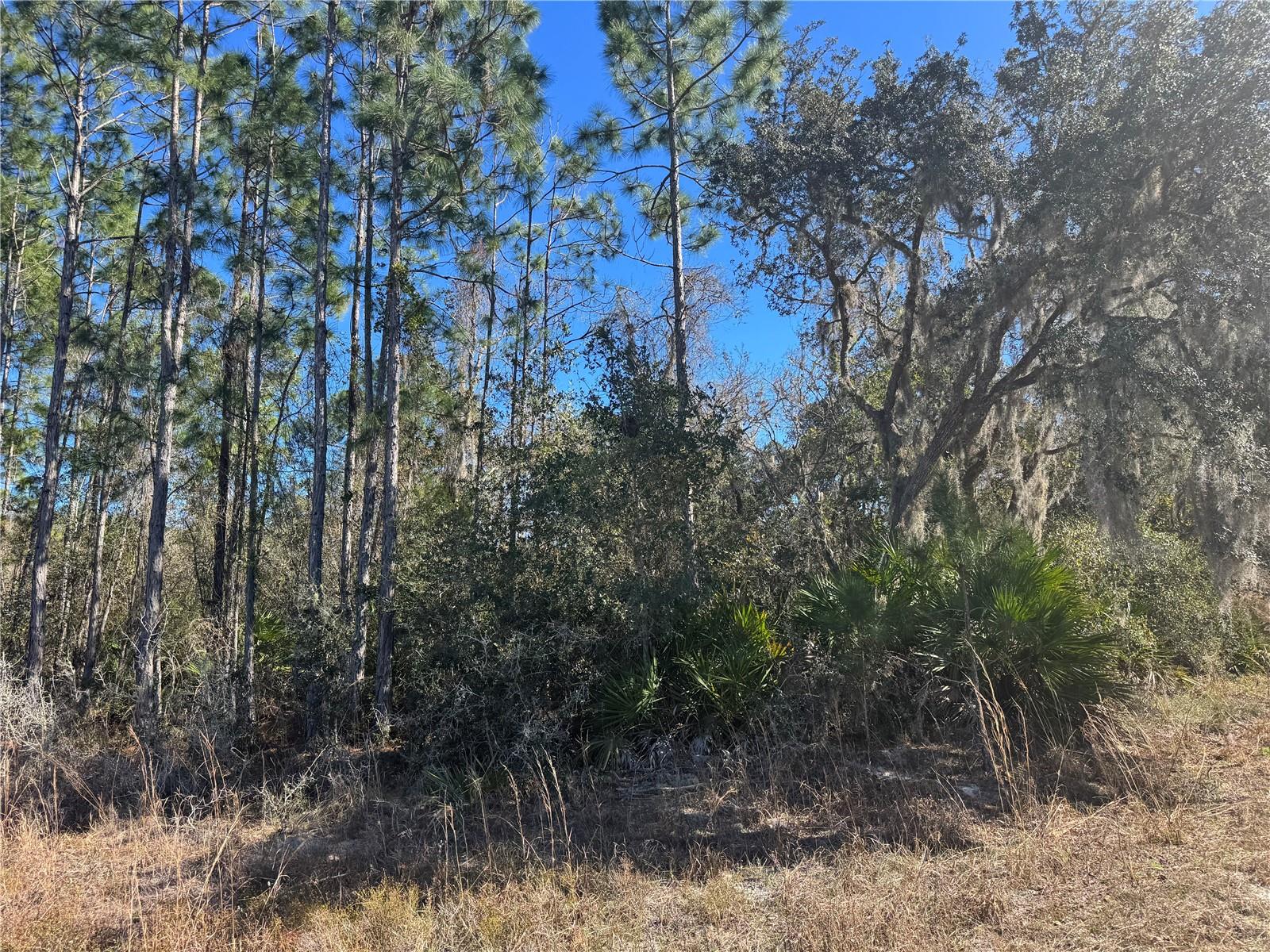 GRACE AVE, DELAND, FL — photo 5