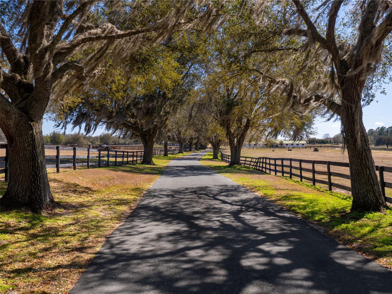 11130/11122 W HIGHWAY 326, OCALA, FL — photo 19