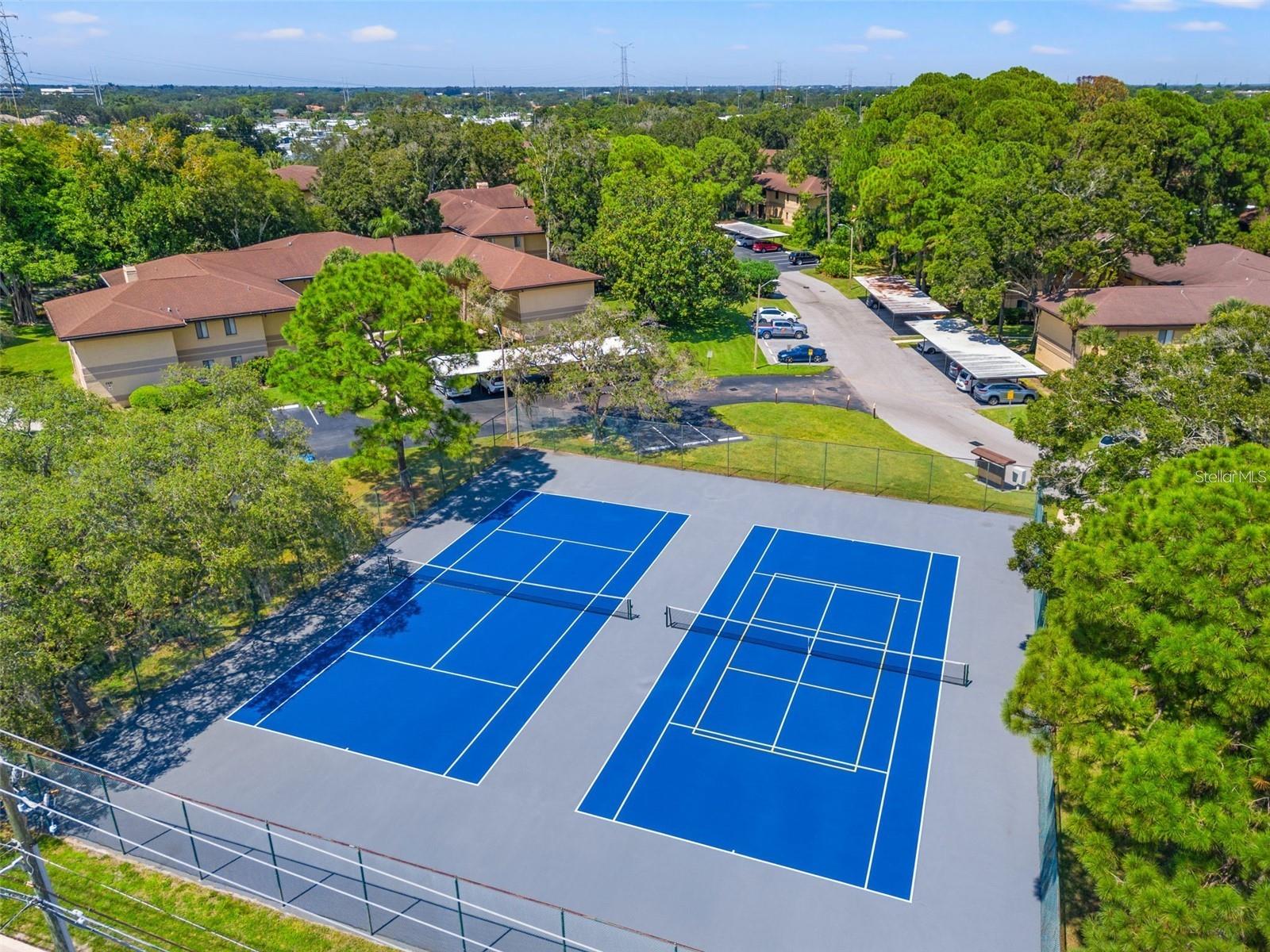 2682 SABAL SPRINGS CIR #204, CLEARWATER, FL — photo 33
