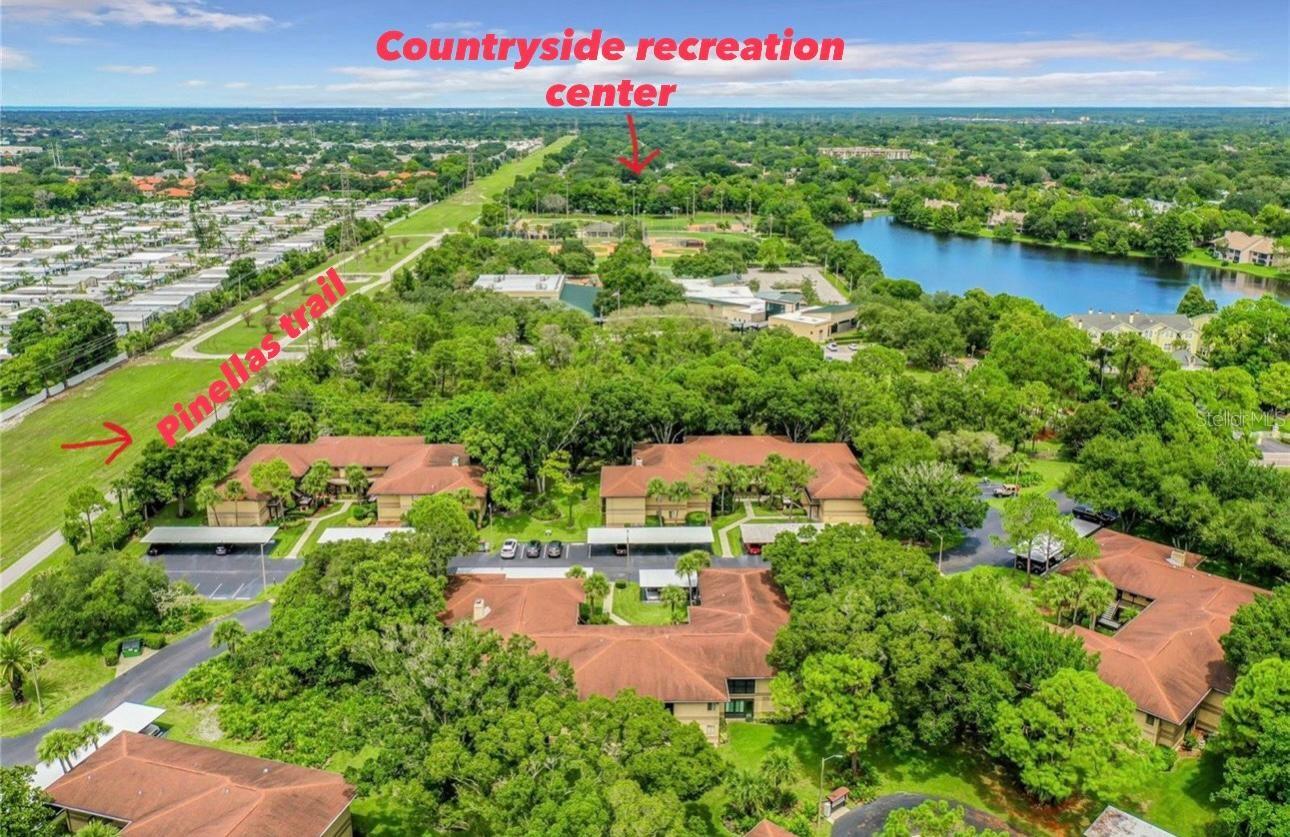 2682 SABAL SPRINGS CIR #204, CLEARWATER, FL — photo 37