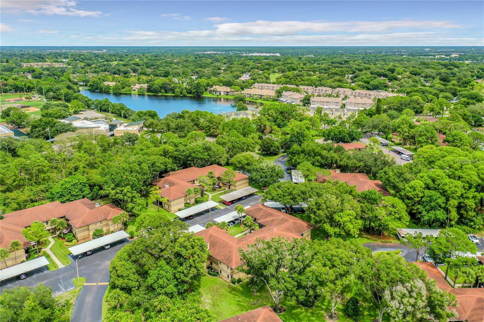 2682 SABAL SPRINGS CIR #204, CLEARWATER, FL — photo 40