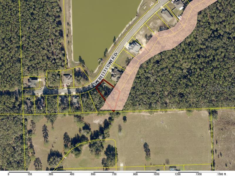 569 SW BELLFLOWER DR, LAKE CITY, FL — photo 2