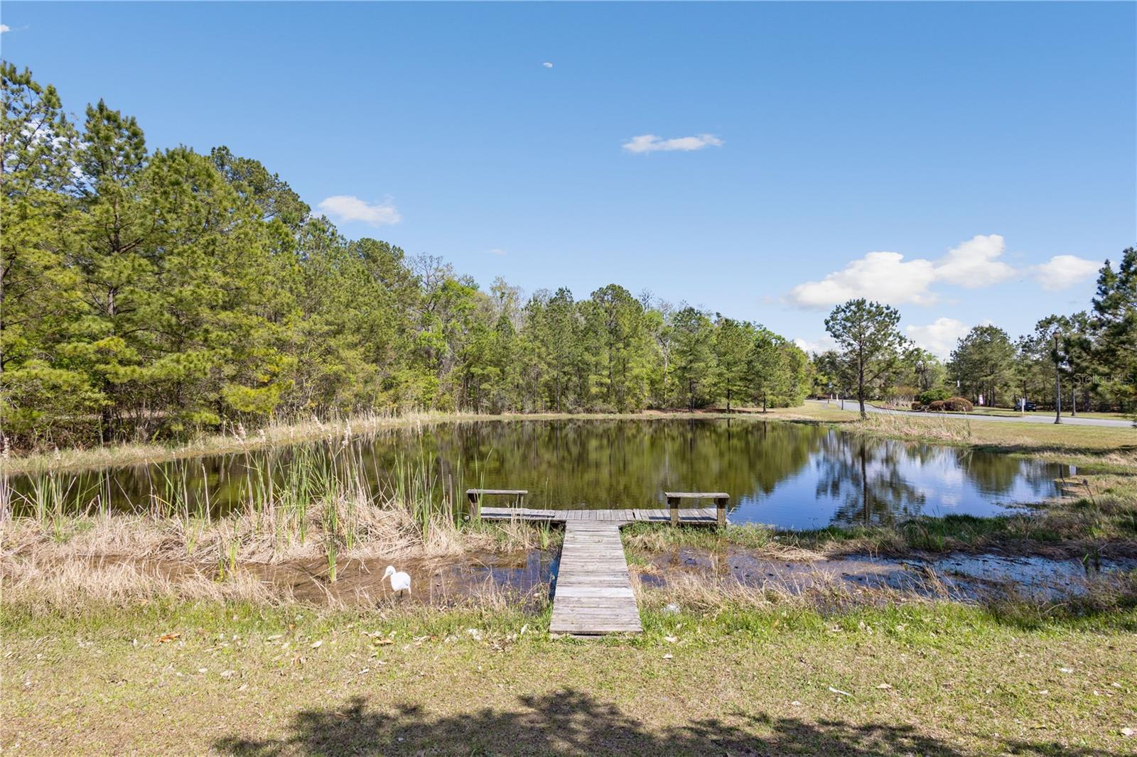 569 SW BELLFLOWER DR, LAKE CITY, FL — photo 15