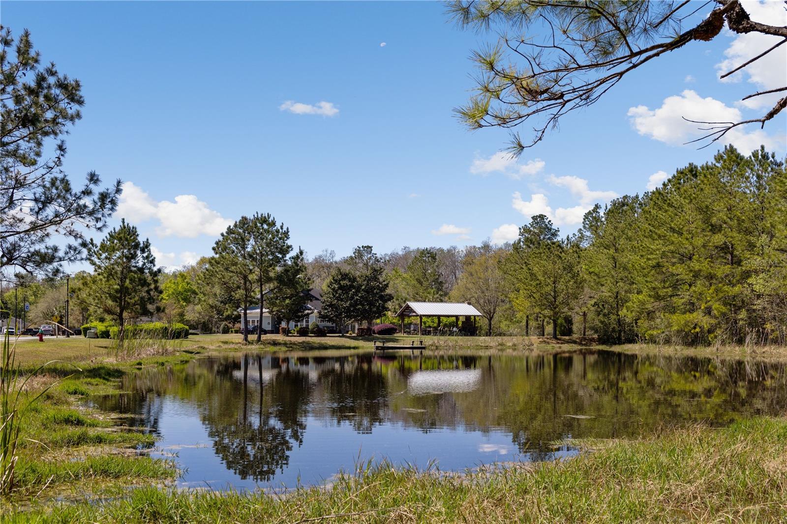 569 SW BELLFLOWER DR, LAKE CITY, FL — photo 26