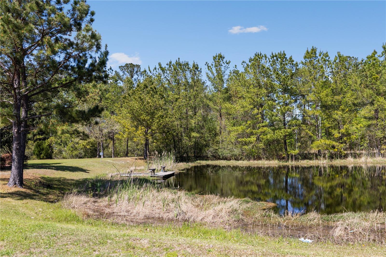 569 SW BELLFLOWER DR, LAKE CITY, FL — photo 27