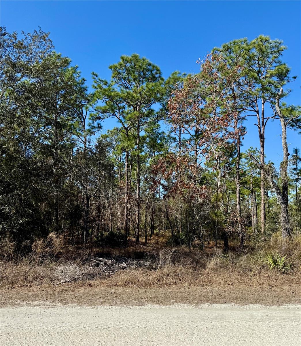 0 MACASSAR RD, WEEKI WACHEE, FL — photo 4