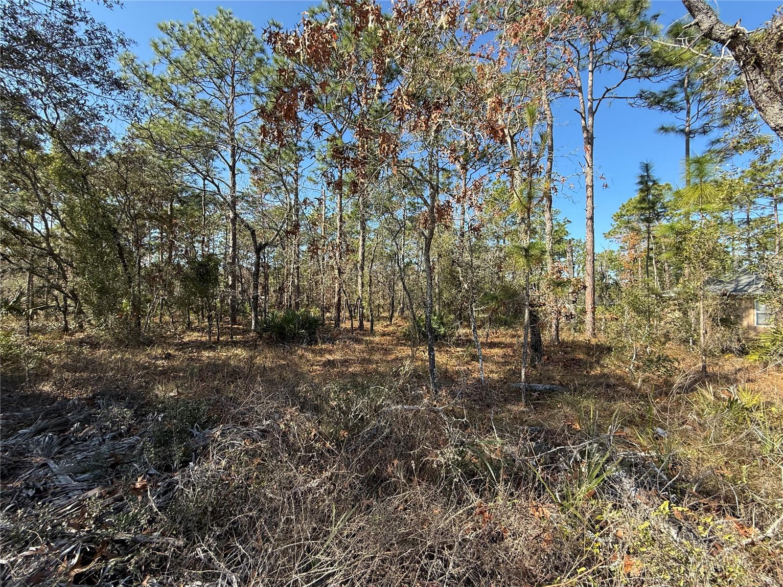 0 MACASSAR RD, WEEKI WACHEE, FL — photo 7