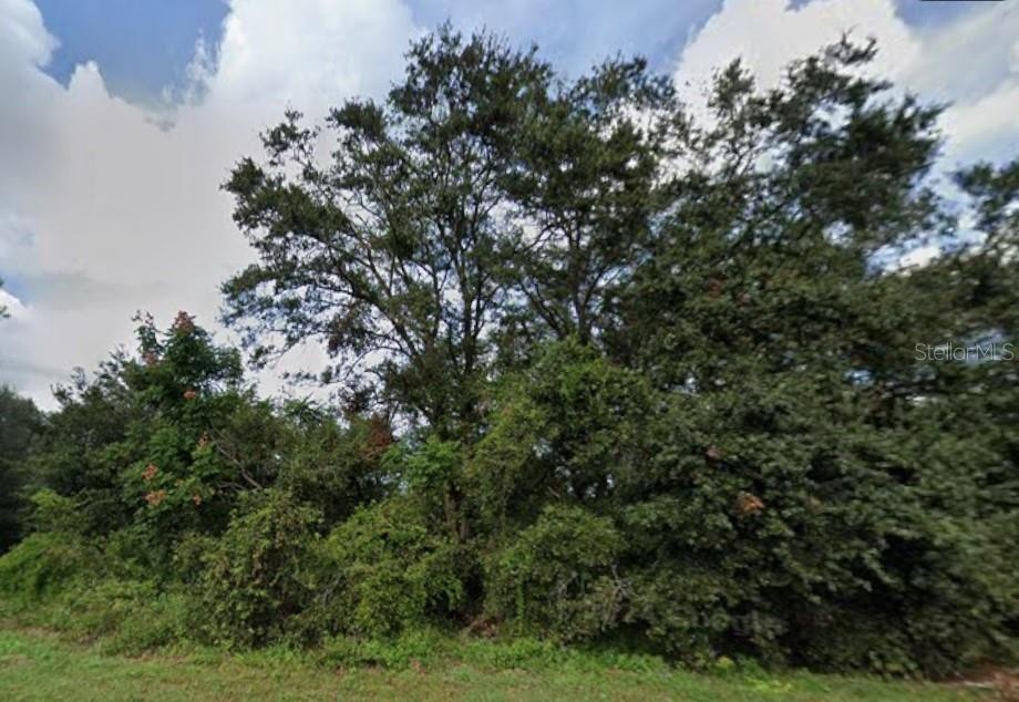 627 CITRUS GROVE BLVD N, POLK CITY, FL