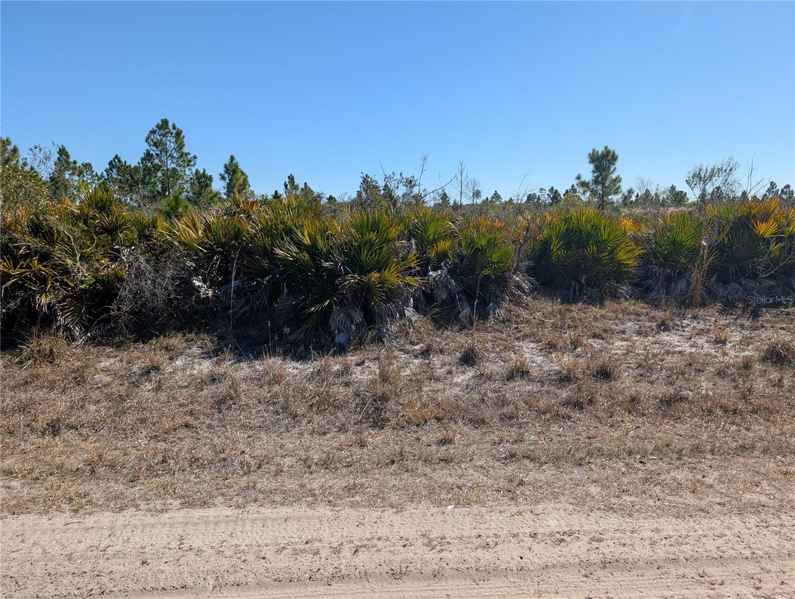 1211 PINNATA DR, INDIAN LAKE ESTATES, FL