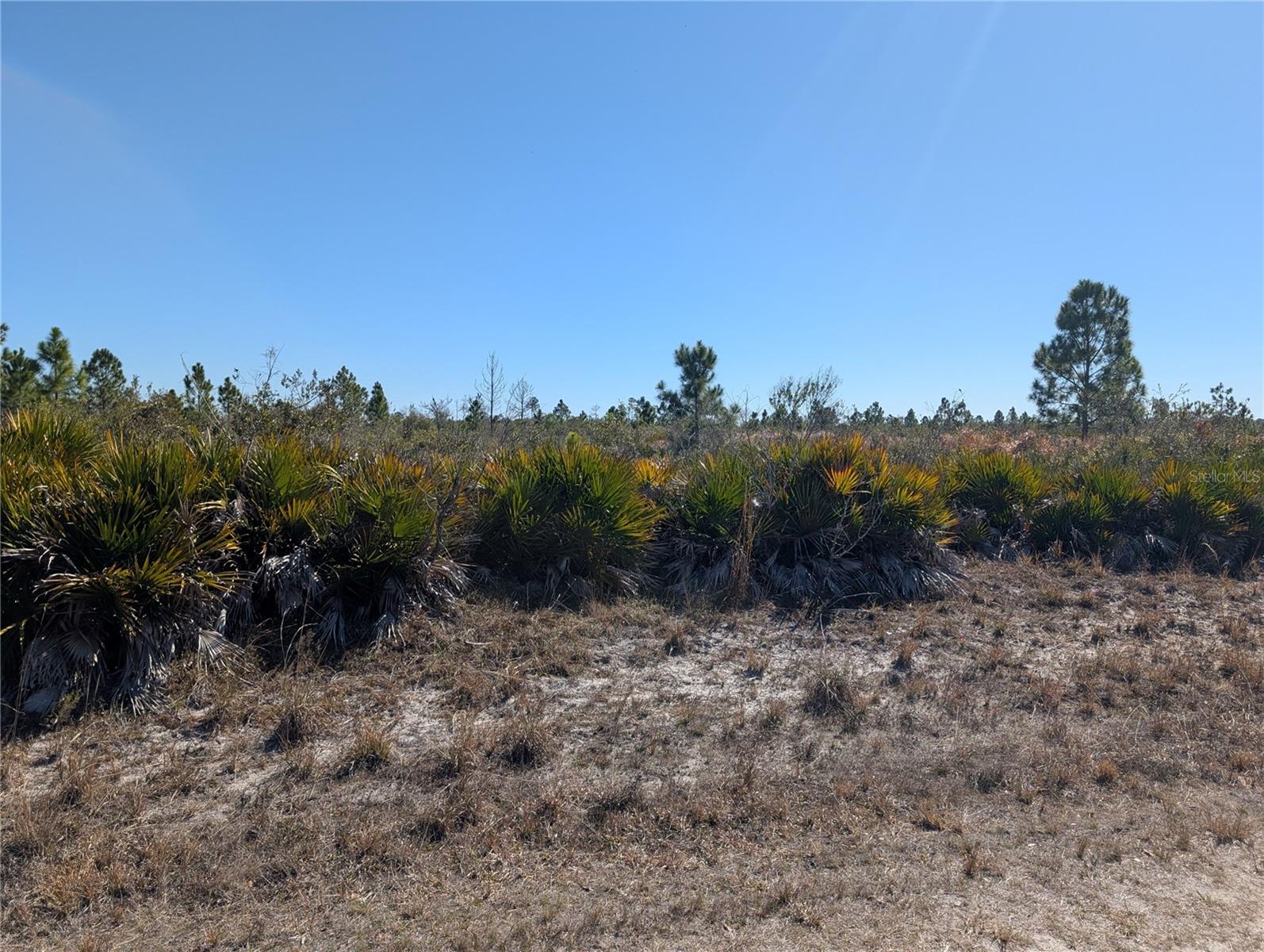 1211 PINNATA DR, INDIAN LAKE ESTATES, FL — photo 4