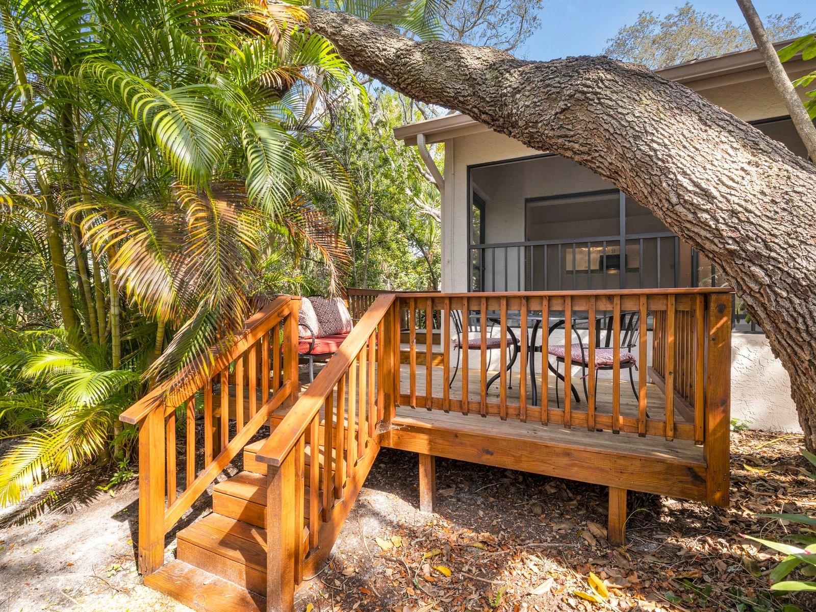 1880 WHISPERING WAY, TARPON SPRINGS, FL — photo 30