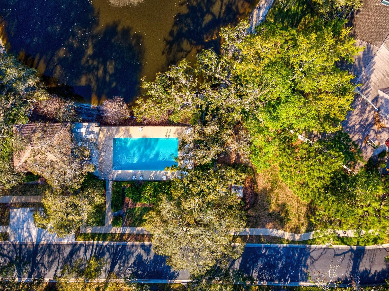 1880 WHISPERING WAY, TARPON SPRINGS, FL — photo 38