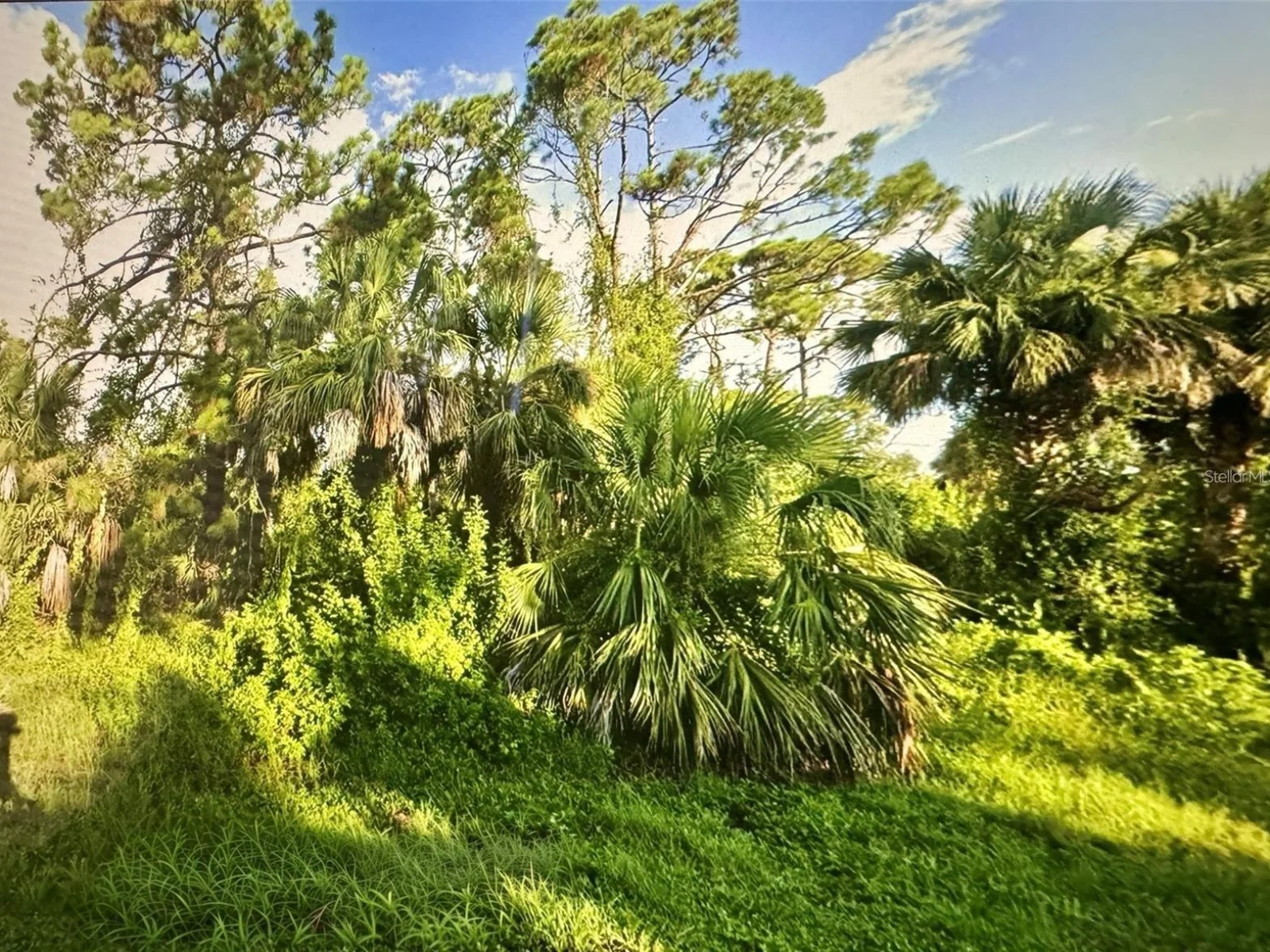 109 CAMILLIA LN, PORT CHARLOTTE, FL — photo 2