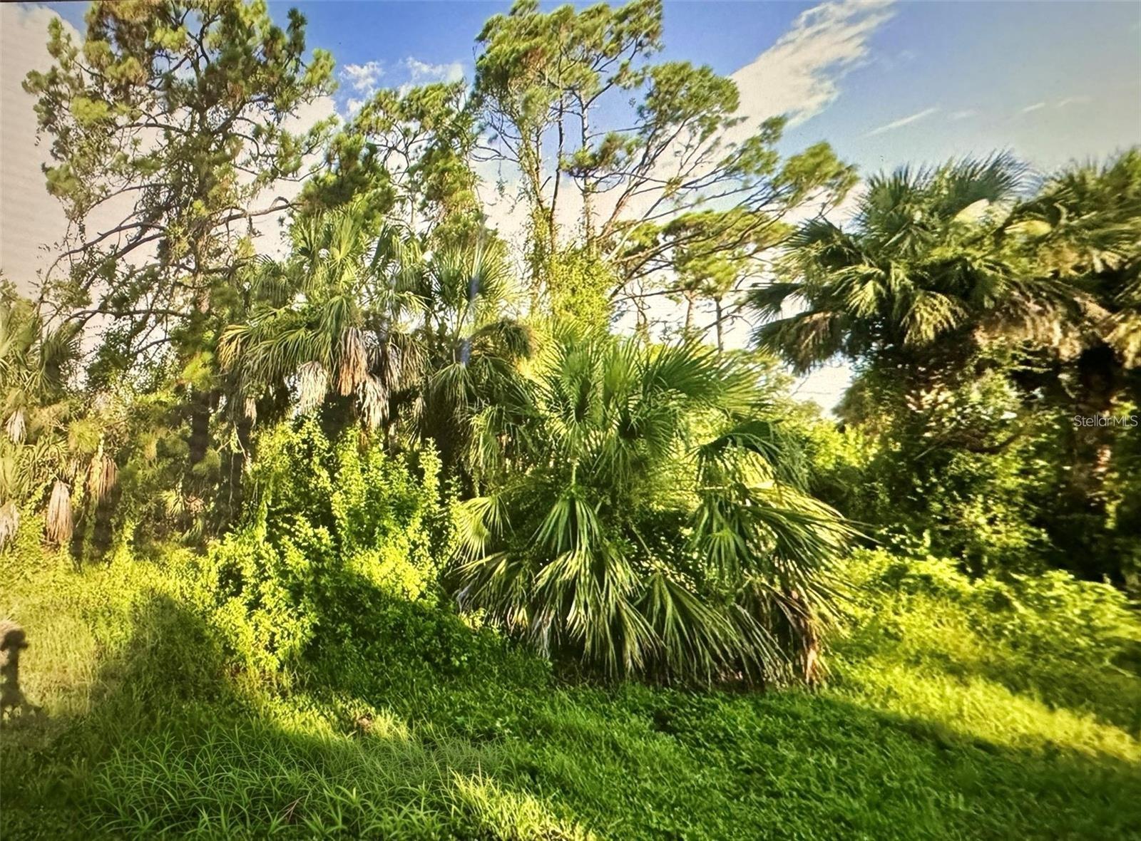 109 CAMILLIA LN, PORT CHARLOTTE, FL