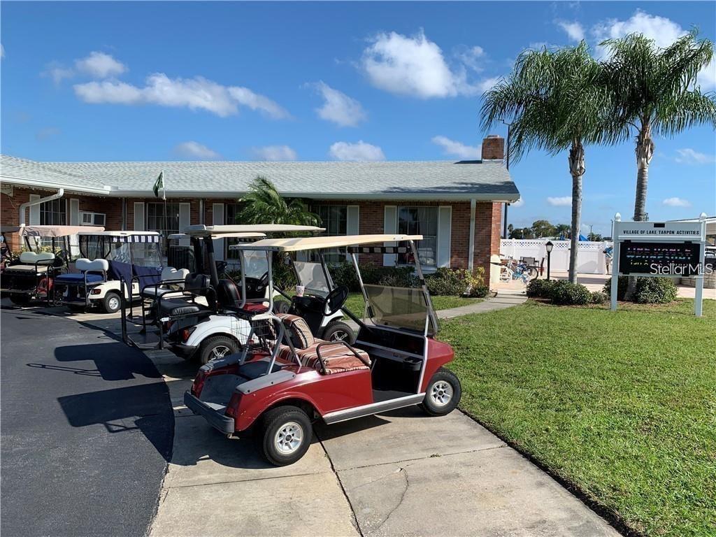 105 FREEDOM CT #30, PALM HARBOR, FL — photo 23