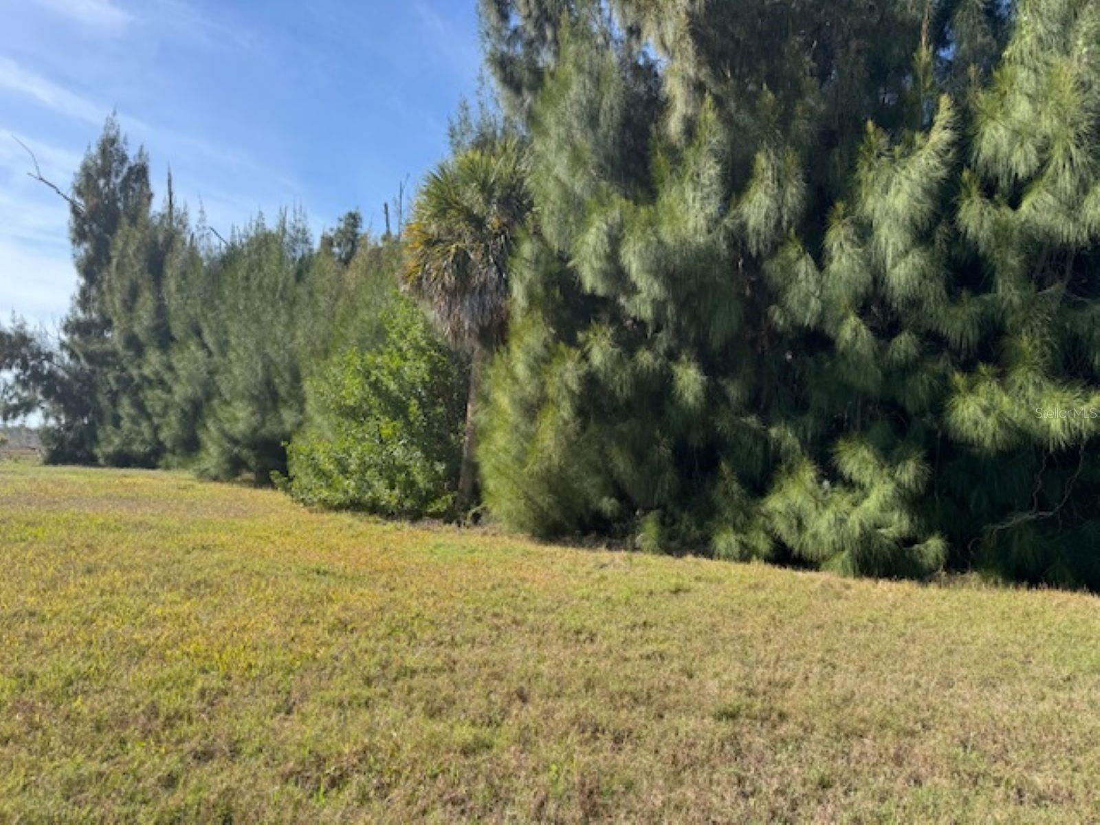 75 GREEN DOLPHIN DR N, PLACIDA, FL — photo 3