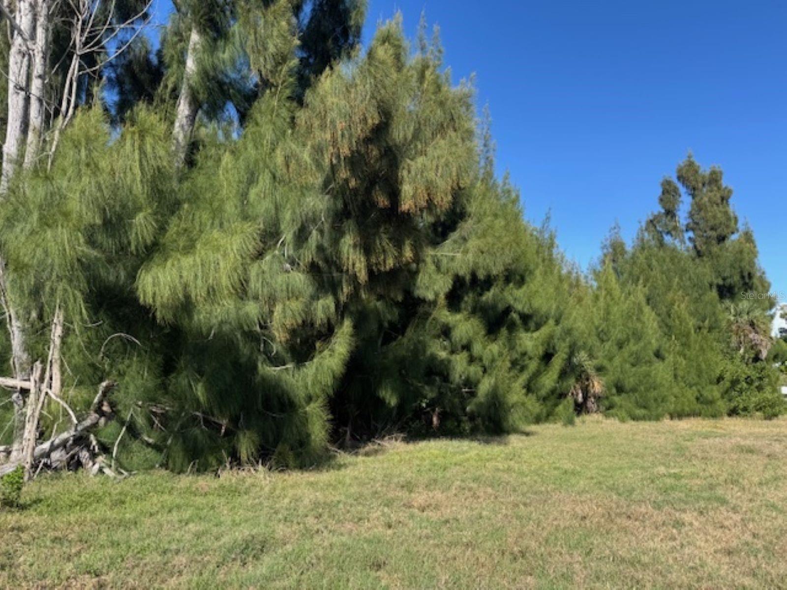 75 GREEN DOLPHIN DR N, PLACIDA, FL — photo 4