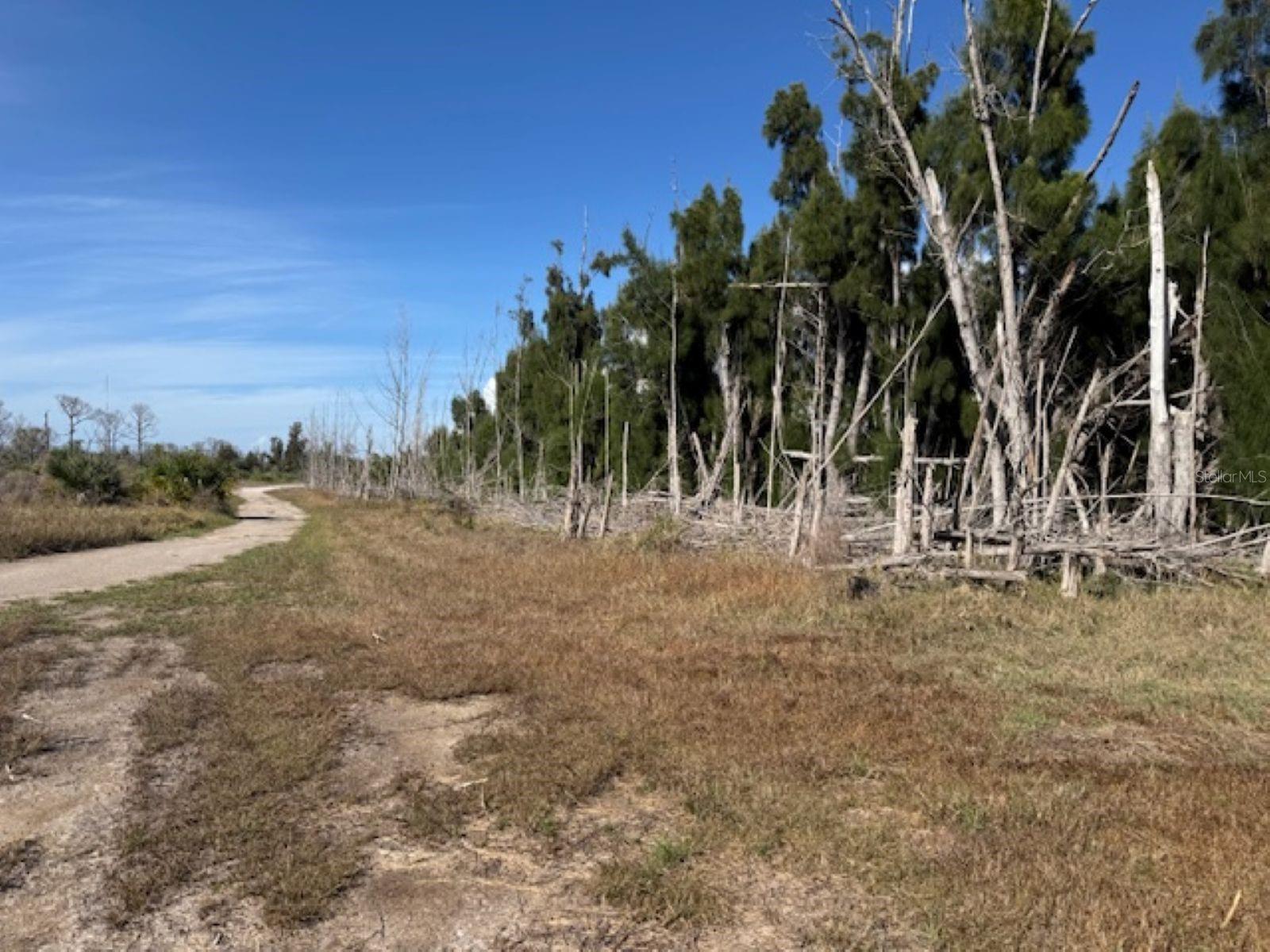 75 GREEN DOLPHIN DR N, PLACIDA, FL — photo 5