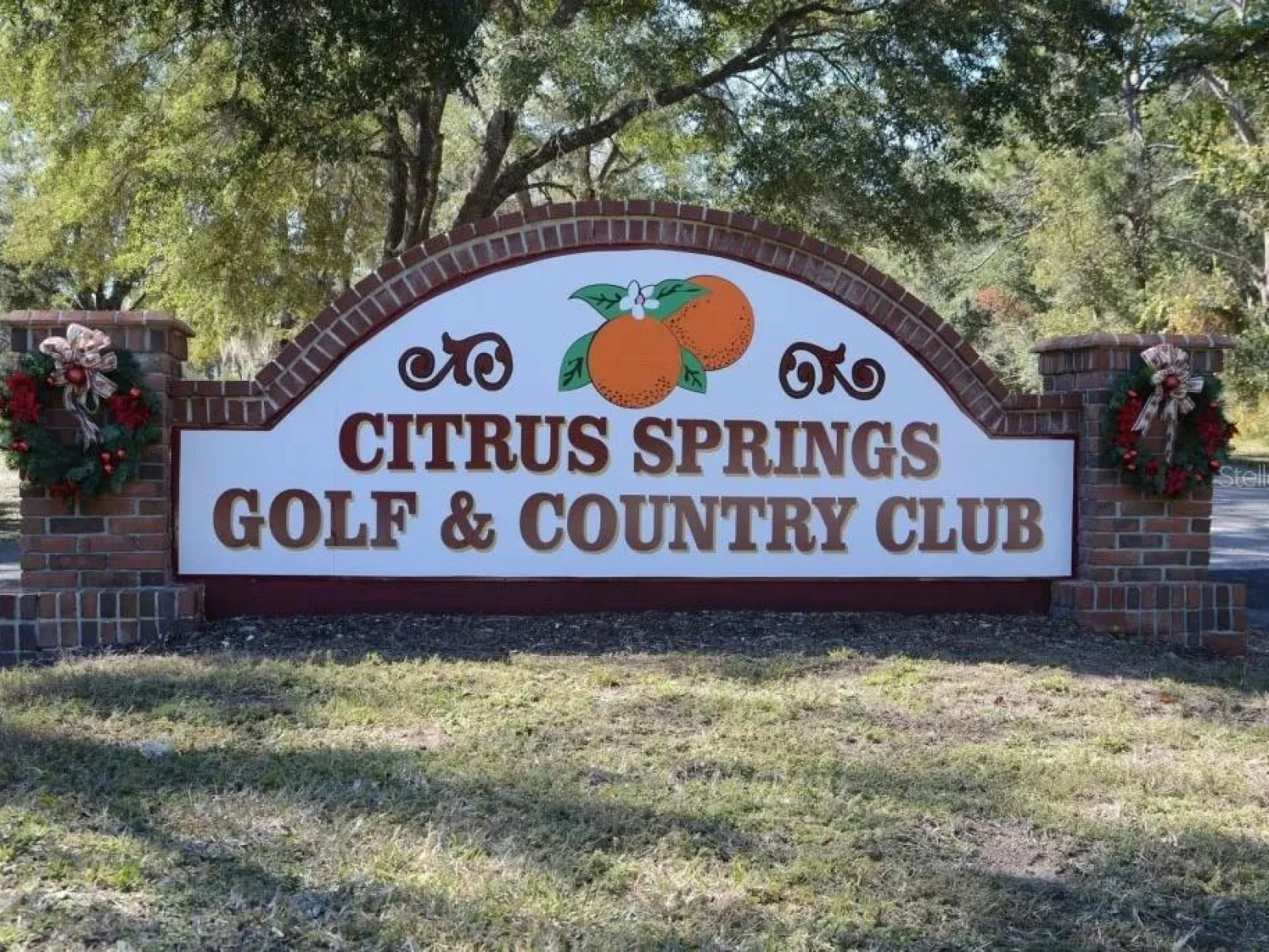 297 W WHITMARSH CT, CITRUS SPRINGS, FL — photo 12
