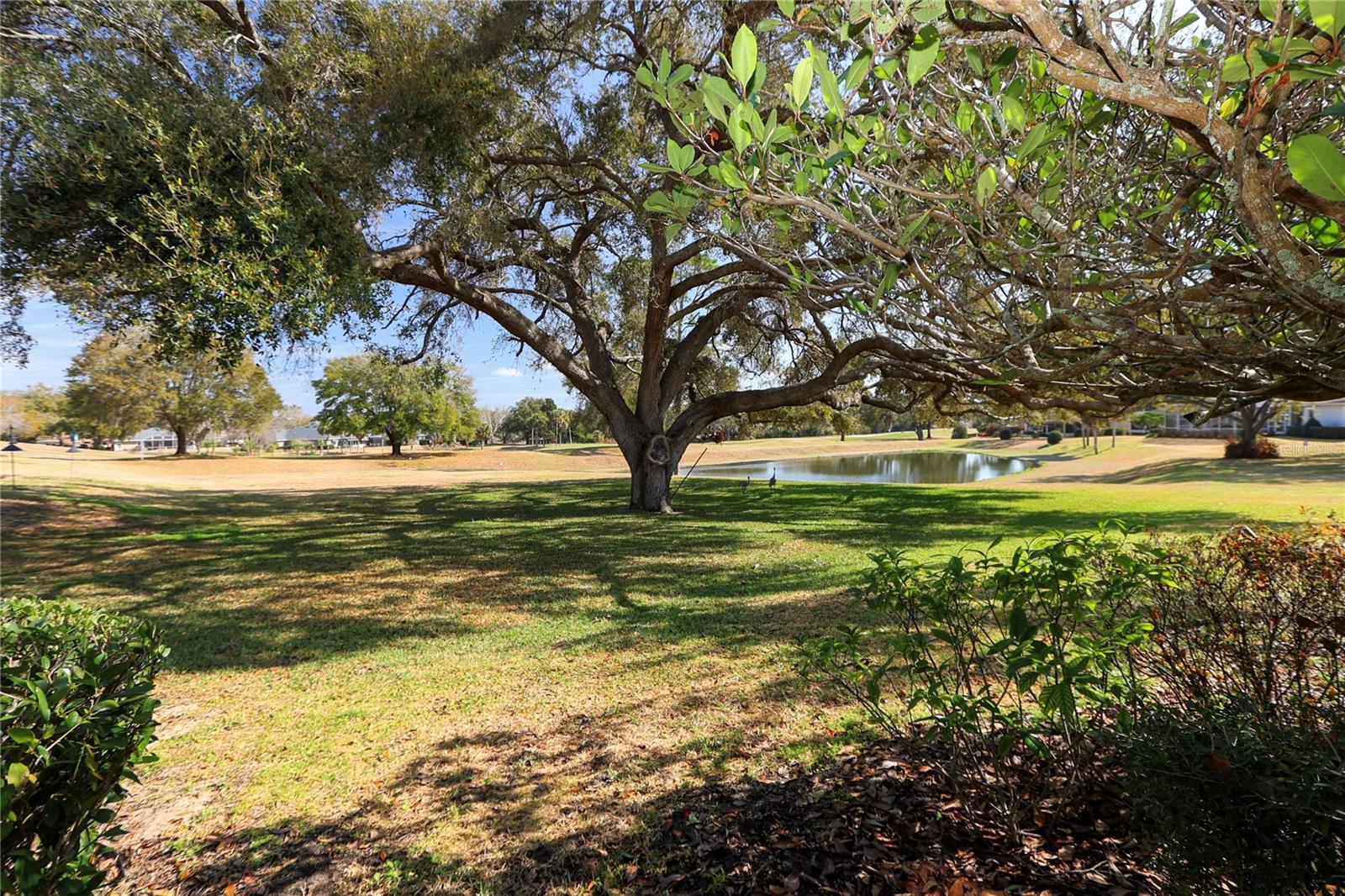 39644 HARBOR HILLS BLVD, LADY LAKE, FL — photo 86