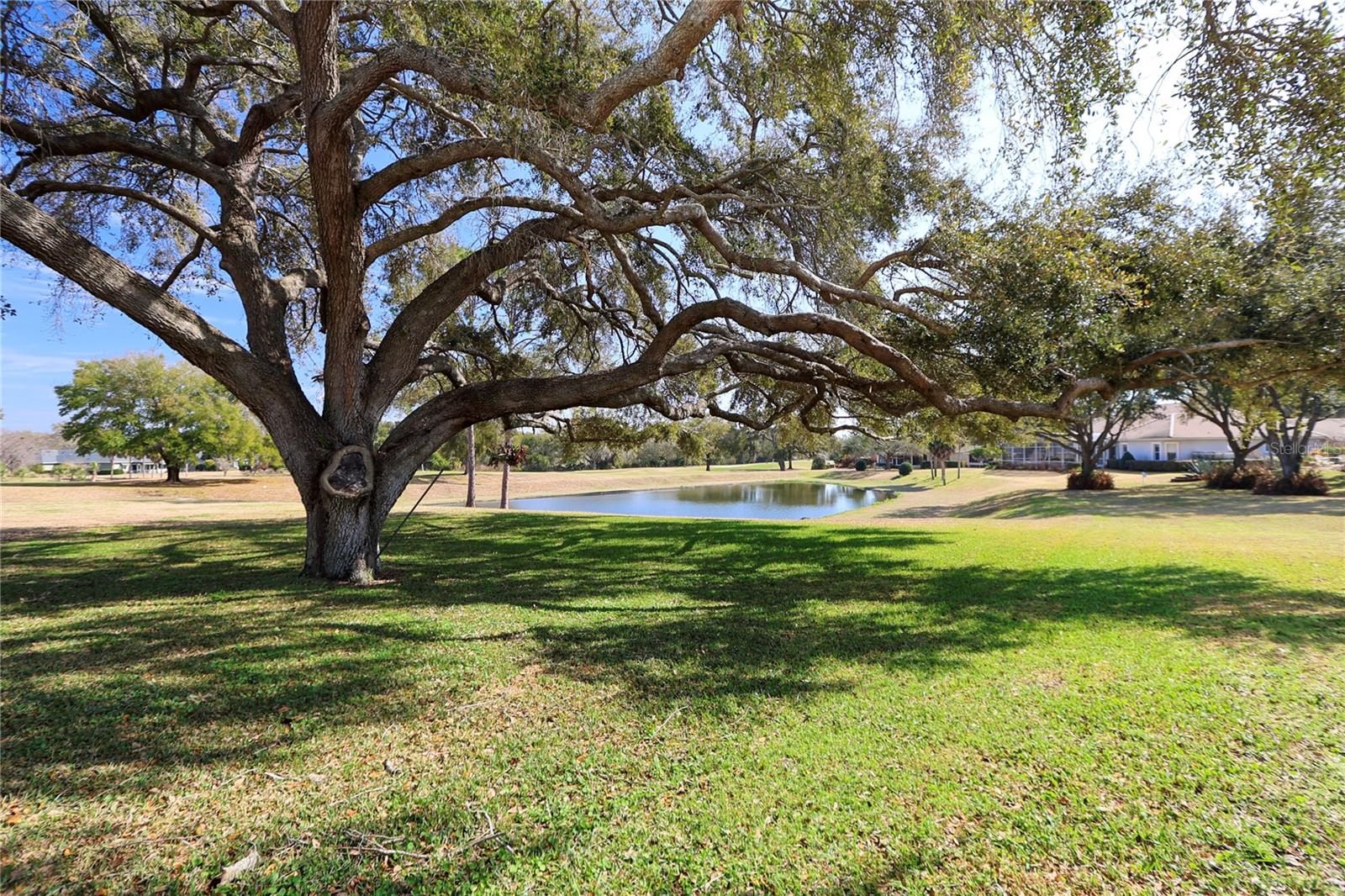 39644 HARBOR HILLS BLVD, LADY LAKE, FL — photo 88