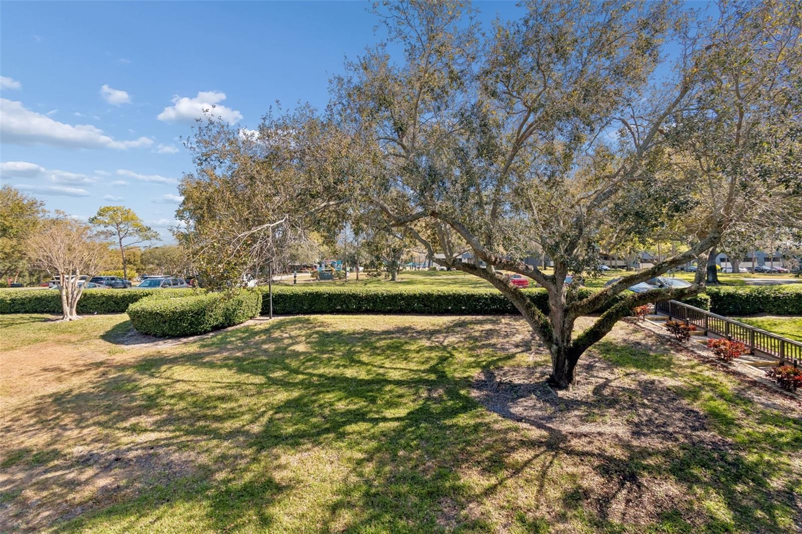 36750 US HIGHWAY 19 N #16210, PALM HARBOR, FL — photo 24