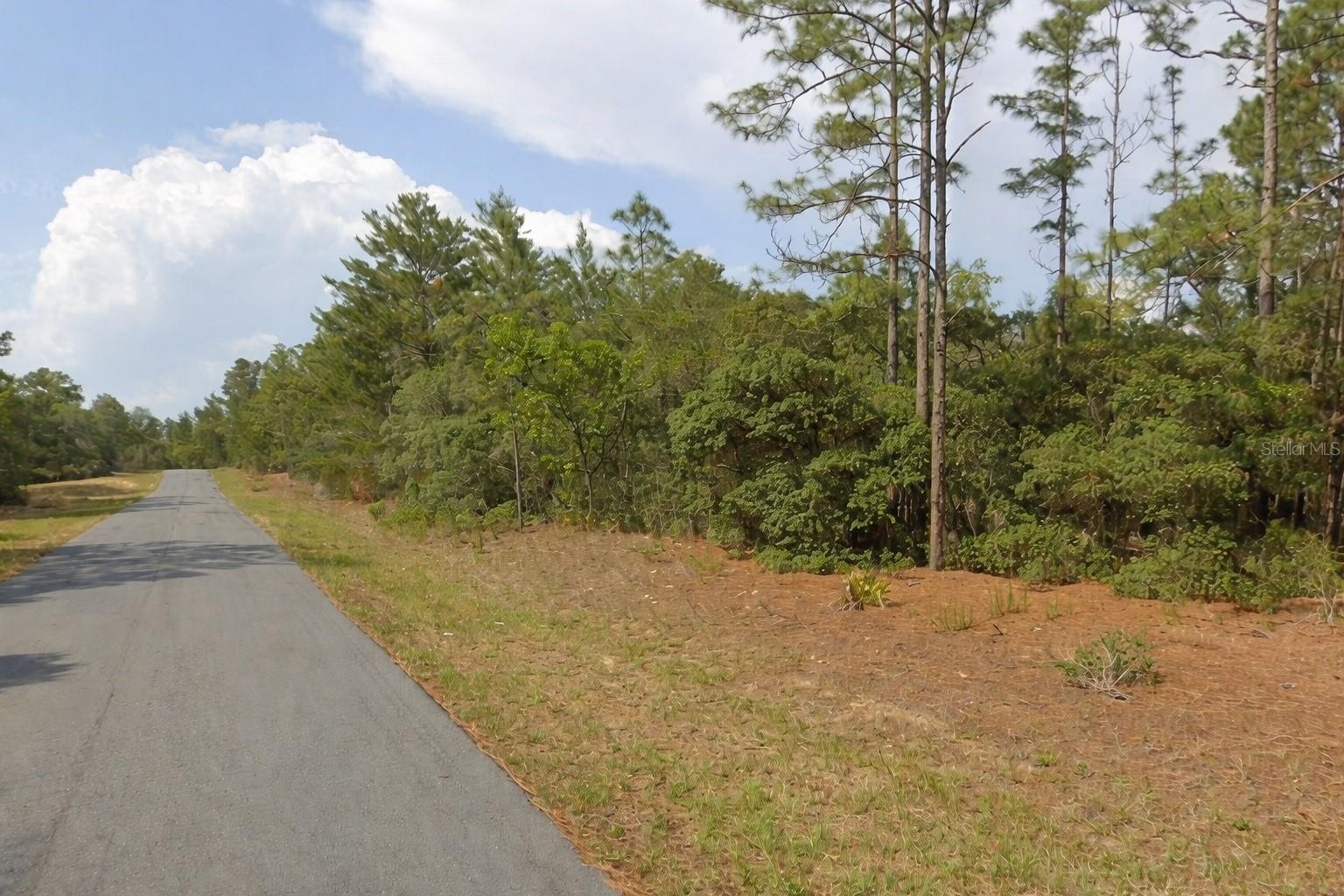 11033 N TRIGGER TER, CITRUS SPRINGS, FL
