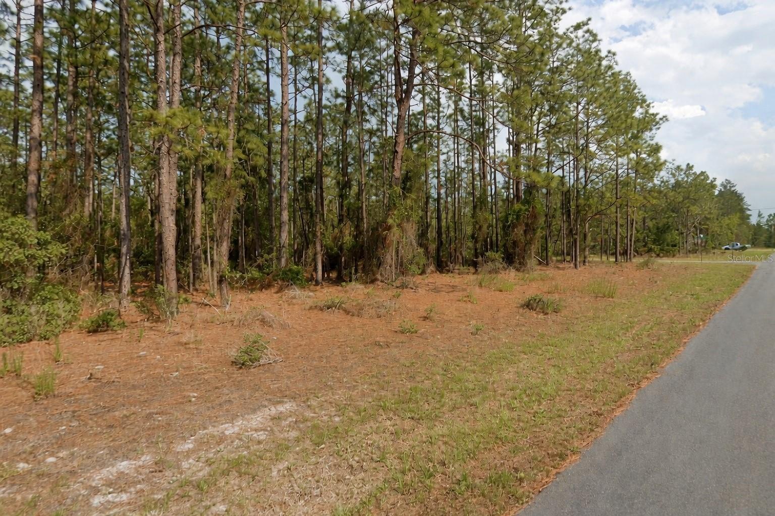11033 N TRIGGER TER, CITRUS SPRINGS, FL — photo 2