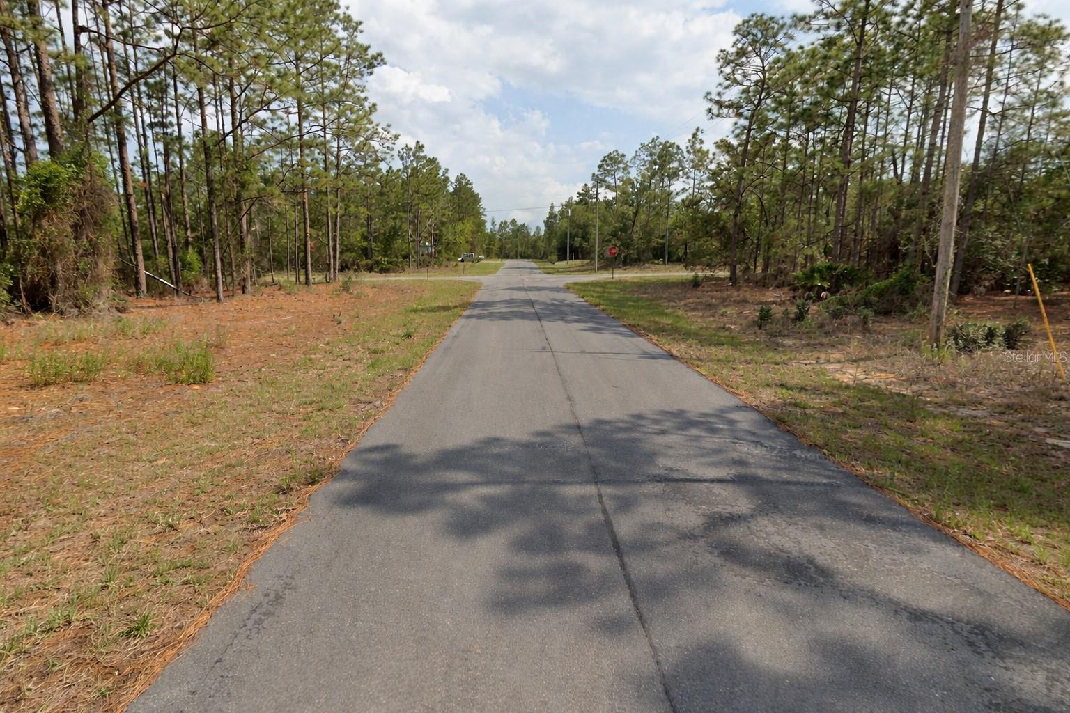 11033 N TRIGGER TER, CITRUS SPRINGS, FL — photo 3