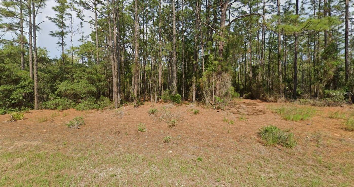 11033 N TRIGGER TER, CITRUS SPRINGS, FL — photo 4