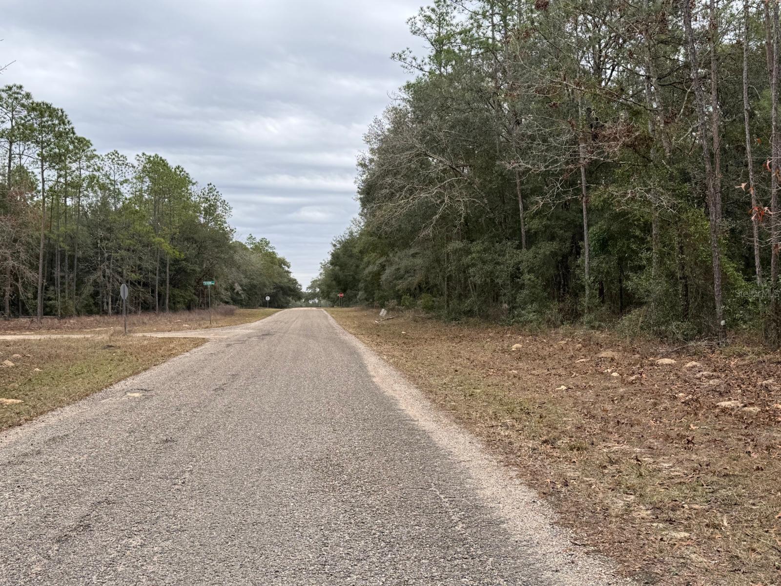60 E FALCON ST, DUNNELLON, FL — photo 3