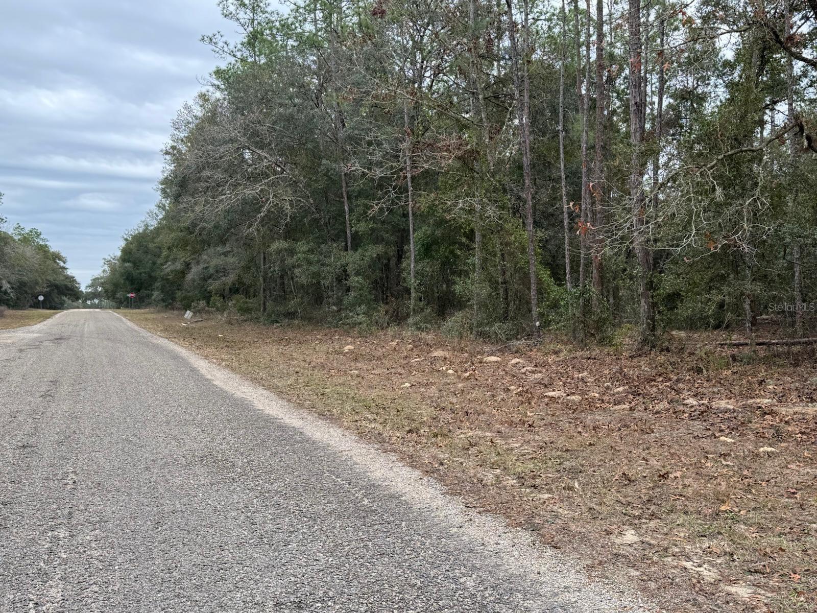 60 E FALCON ST, DUNNELLON, FL — photo 4