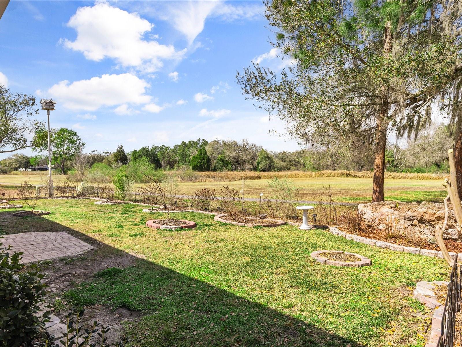 34515 CEDARFIELD DR, DADE CITY, FL — photo 43