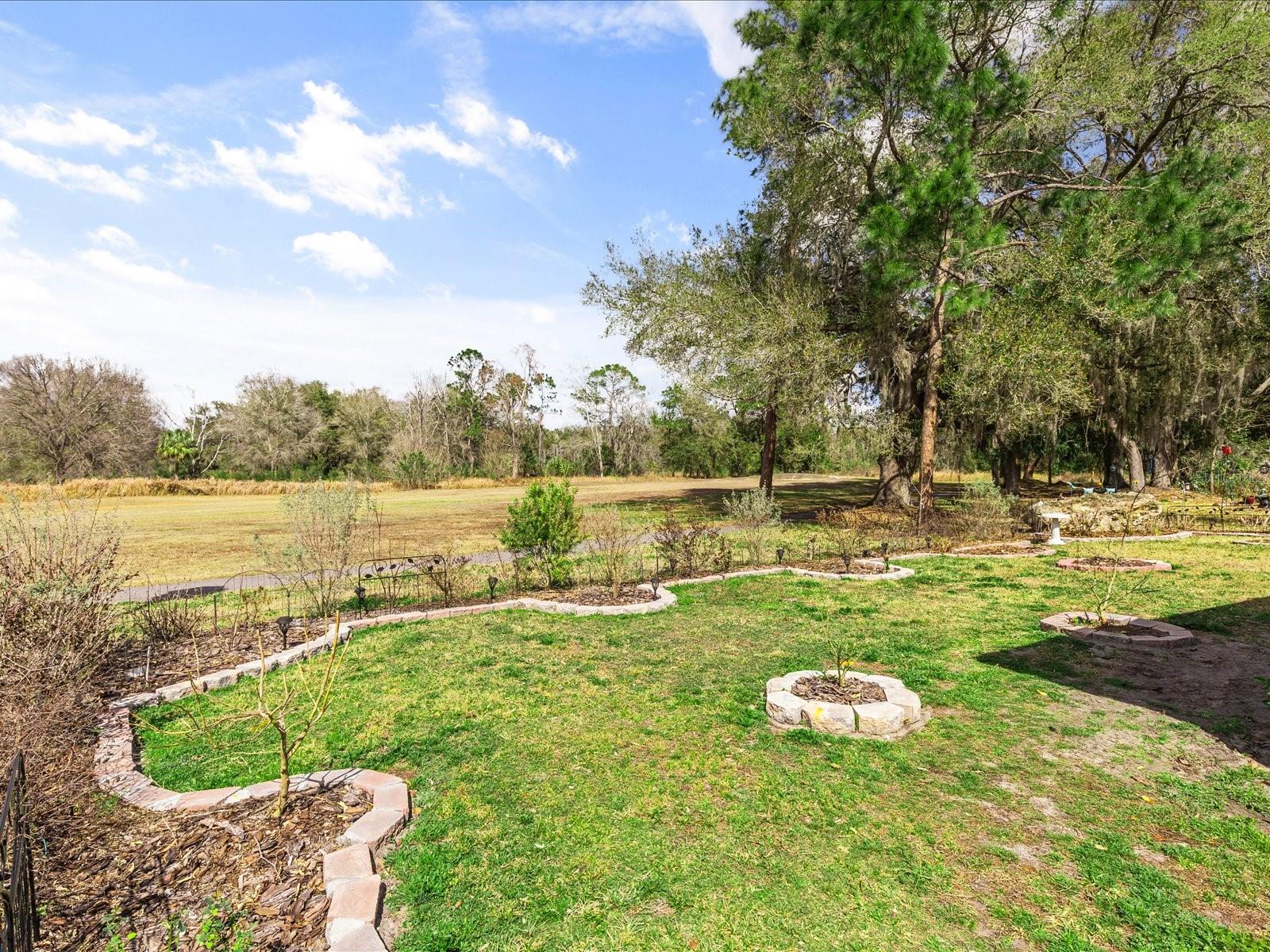 34515 CEDARFIELD DR, DADE CITY, FL — photo 44
