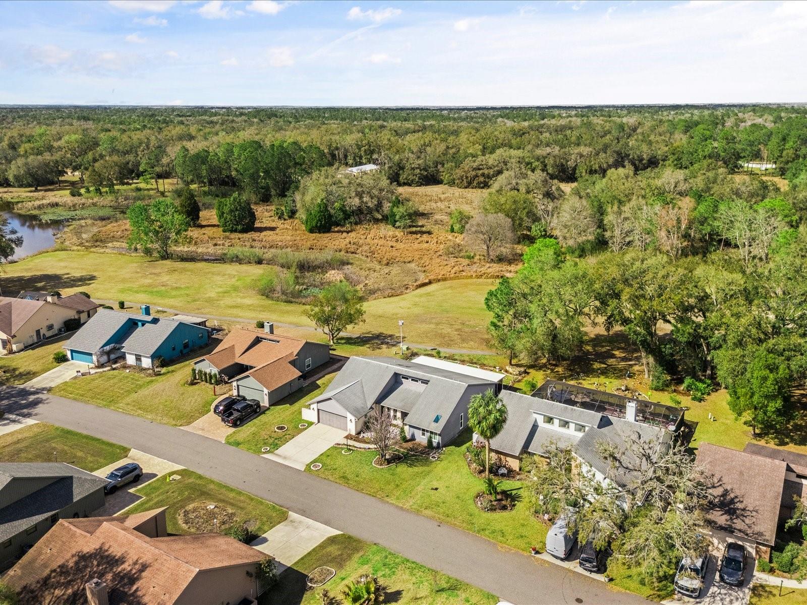 34515 CEDARFIELD DR, DADE CITY, FL — photo 48