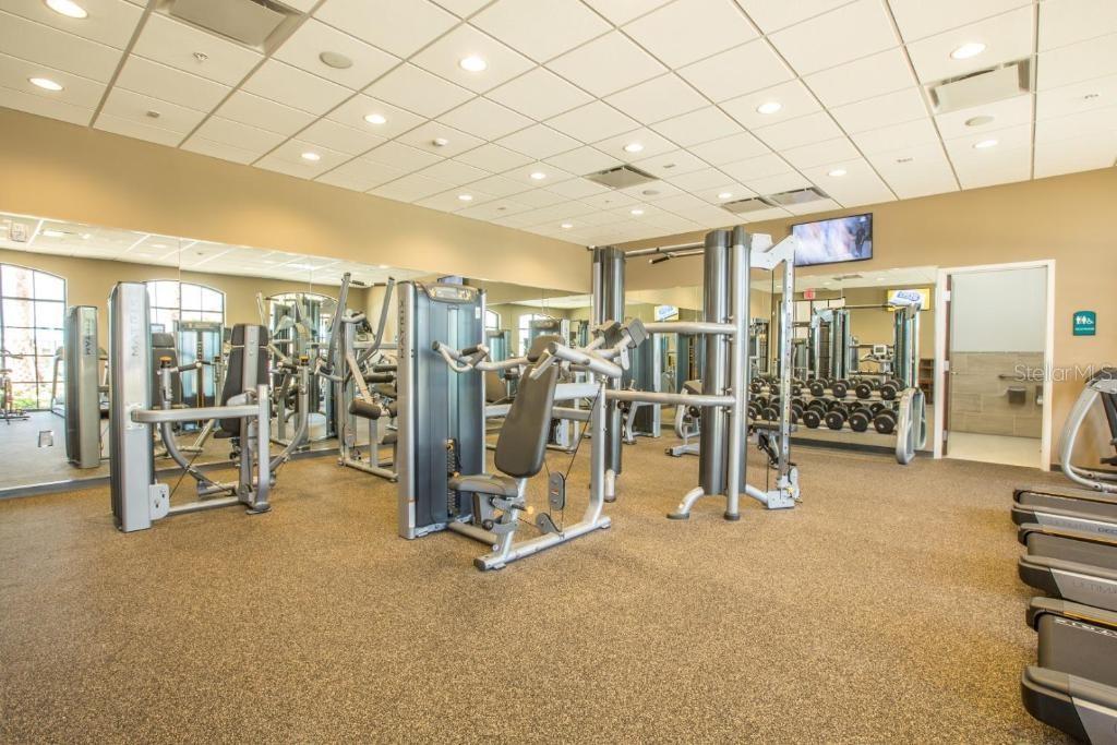 8815 MACAPA DR, KISSIMMEE, FL — photo 64