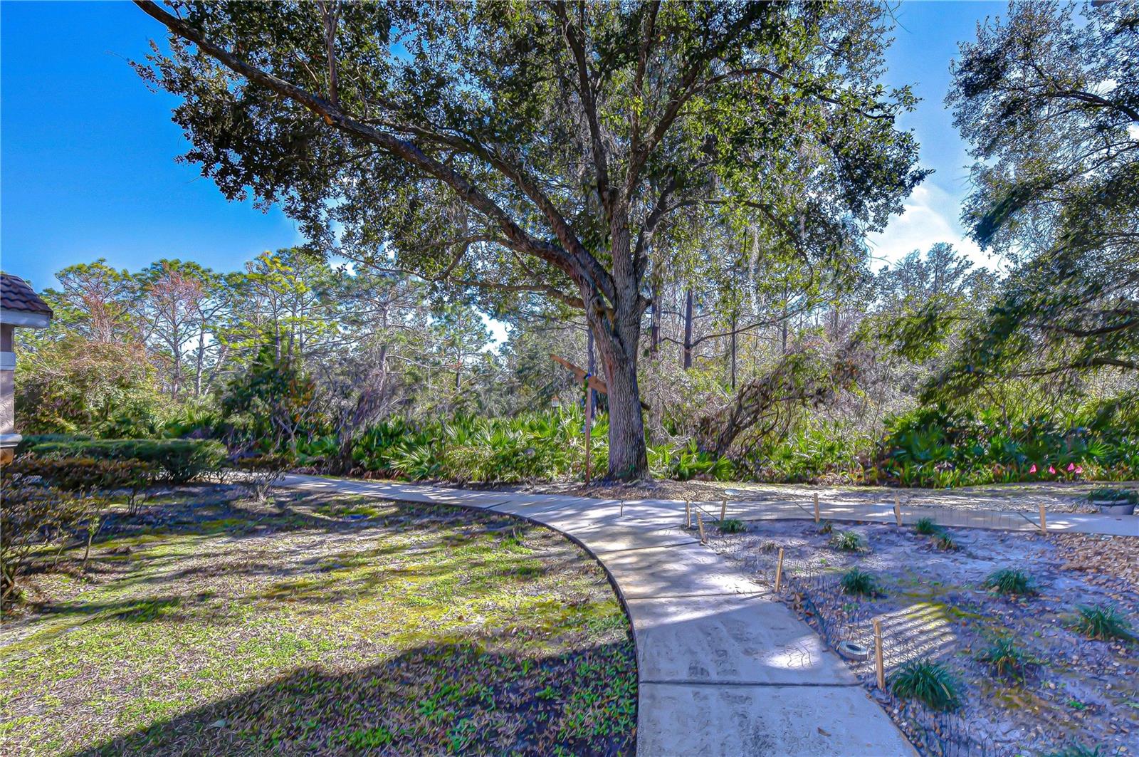 10409 VILLA VIEW CIR #10409, TAMPA, FL — photo 38