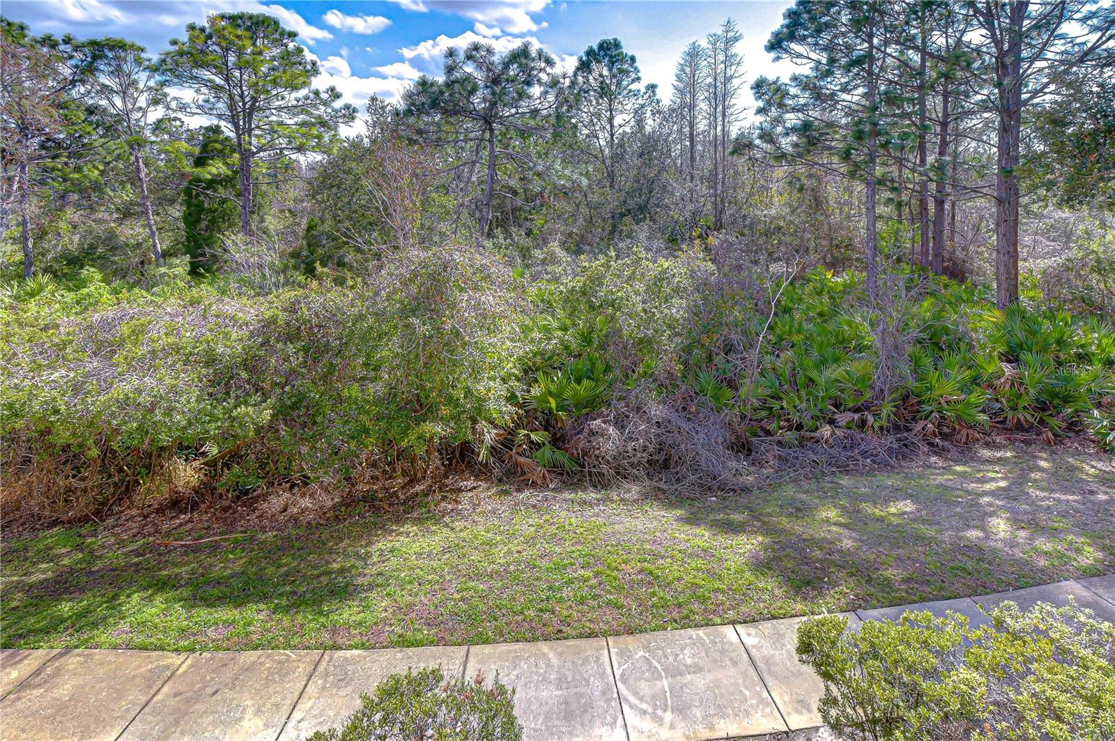 10409 VILLA VIEW CIR #10409, TAMPA, FL — photo 37