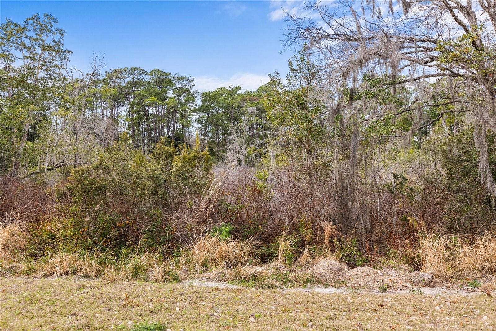 455 BRIAR PATCH LN, GENEVA, FL — photo 76