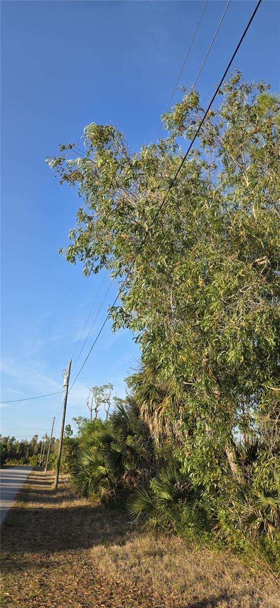 13262 GORMAN AVE, PORT CHARLOTTE, FL — photo 2