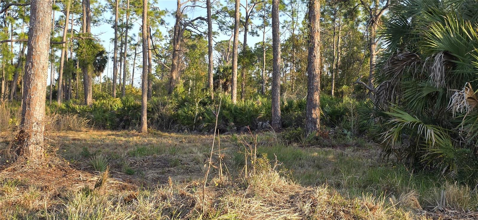 13262 GORMAN AVE, PORT CHARLOTTE, FL — photo 3
