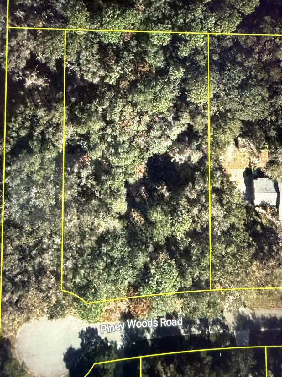 101 PINEY WOODS RD, APOPKA, FL