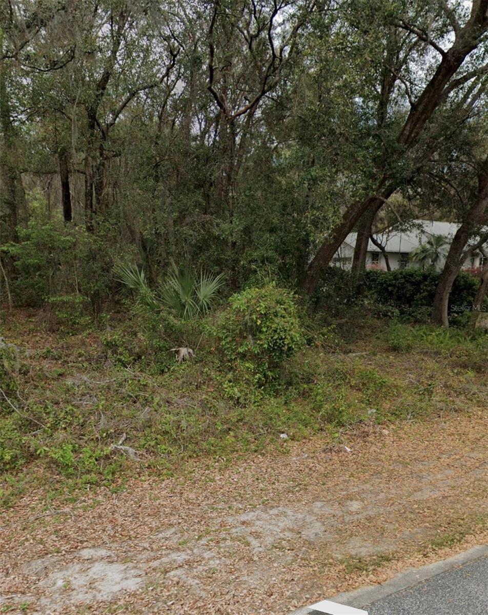 101 PINEY WOODS RD, APOPKA, FL — photo 2