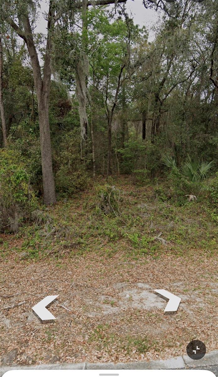 101 PINEY WOODS RD, APOPKA, FL — photo 4