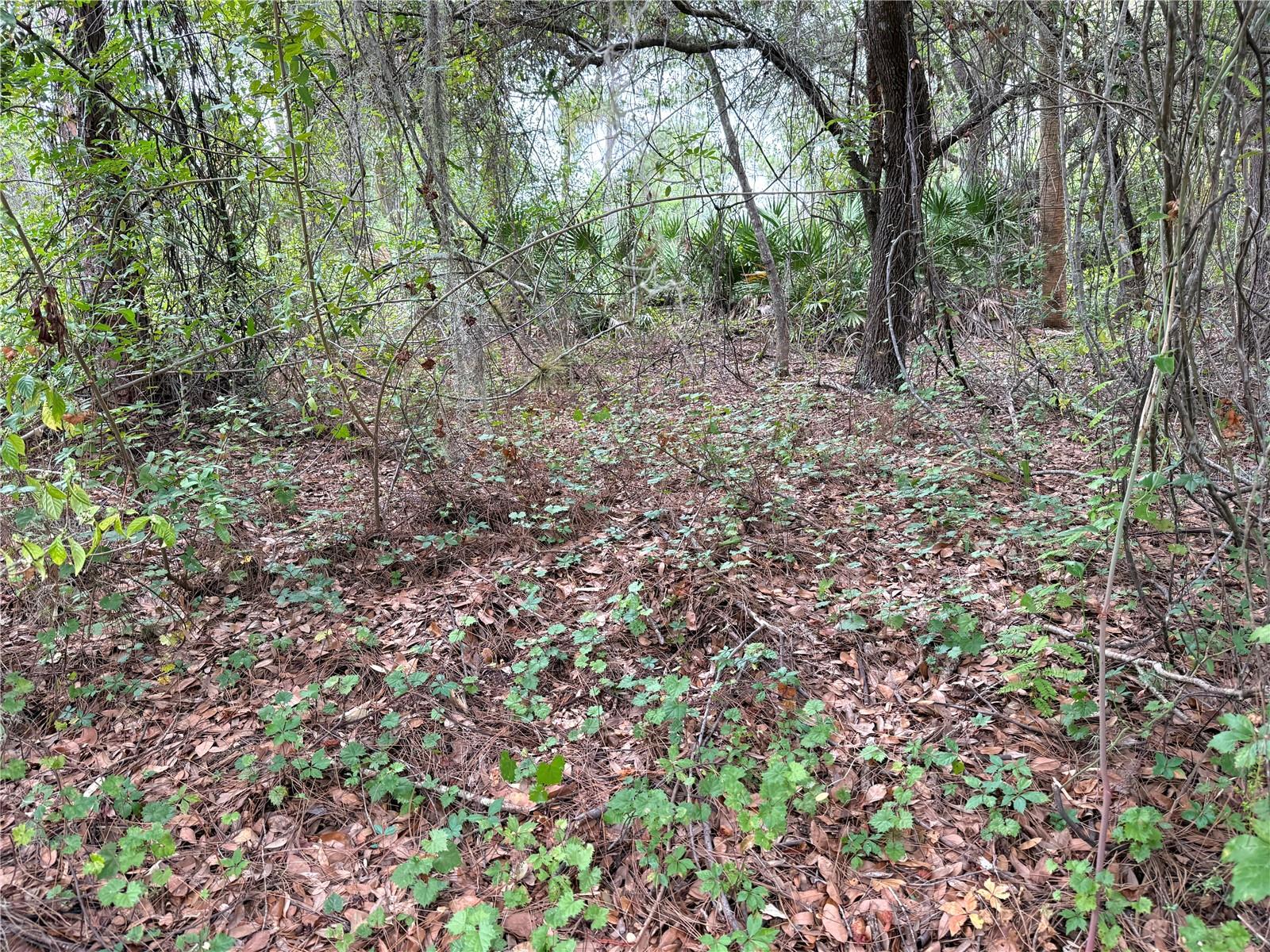 368 NESTLE AVE, LEHIGH ACRES, FL — photo 4