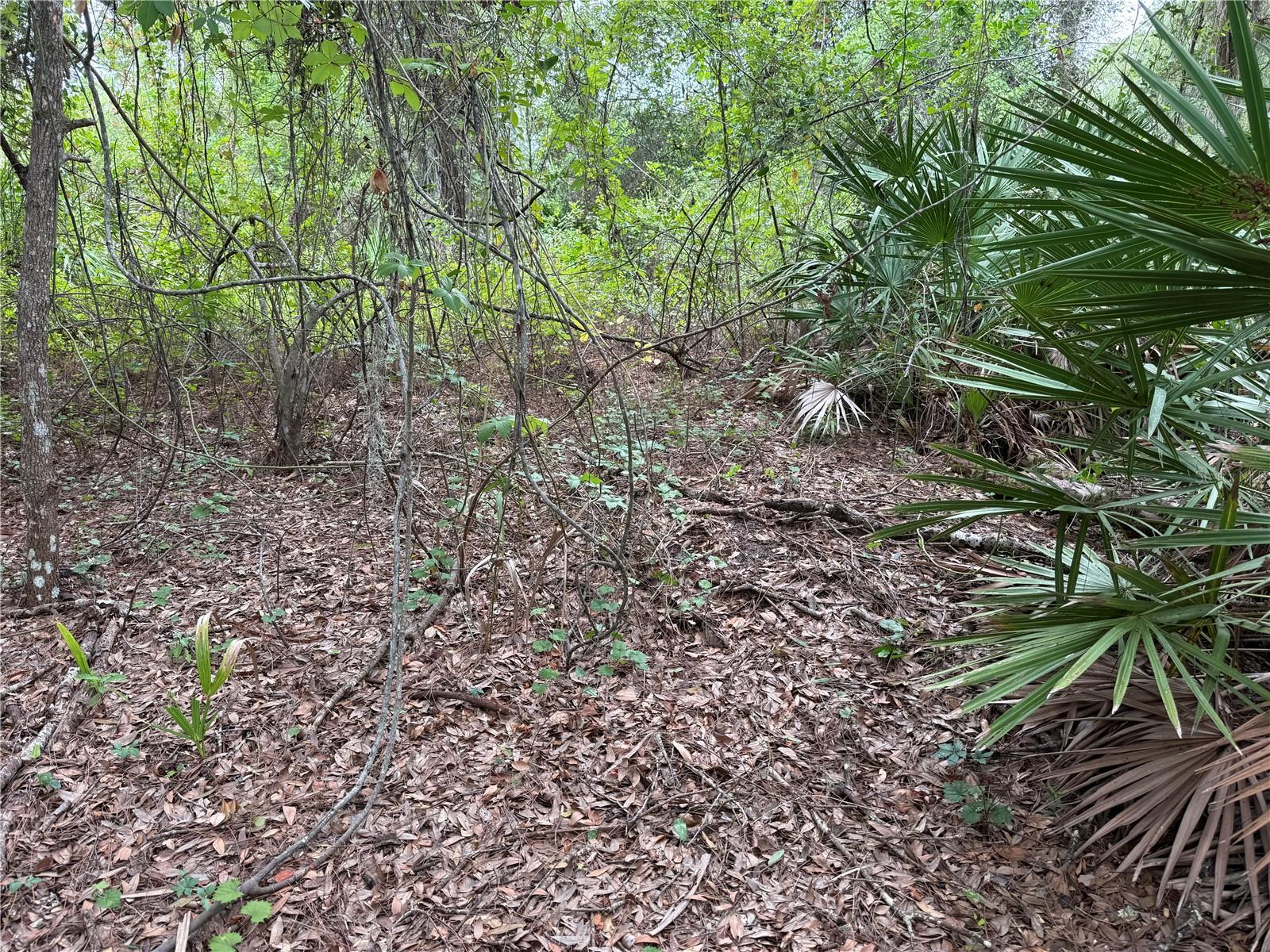 368 NESTLE AVE, LEHIGH ACRES, FL — photo 5