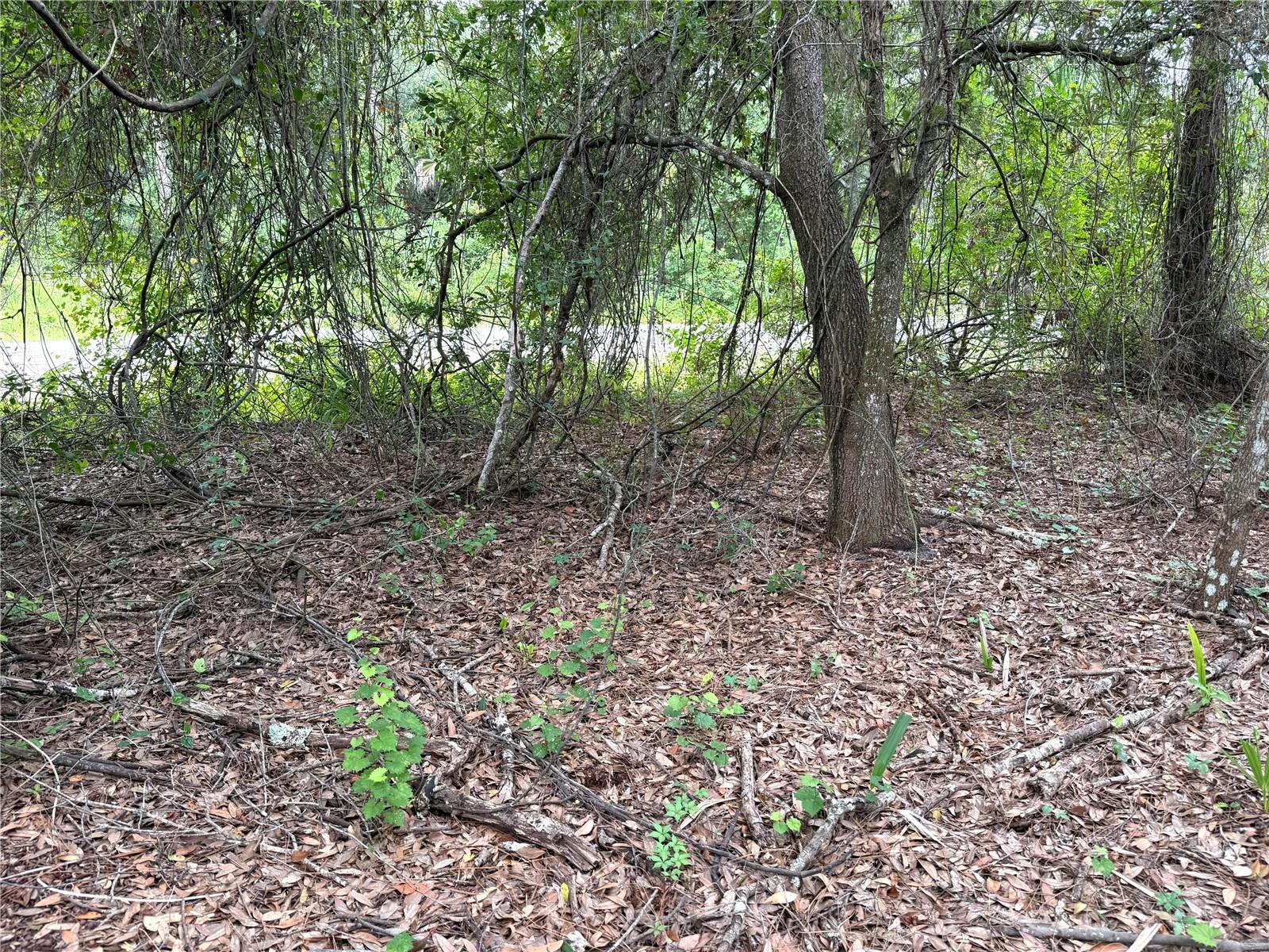 368 NESTLE AVE, LEHIGH ACRES, FL — photo 6