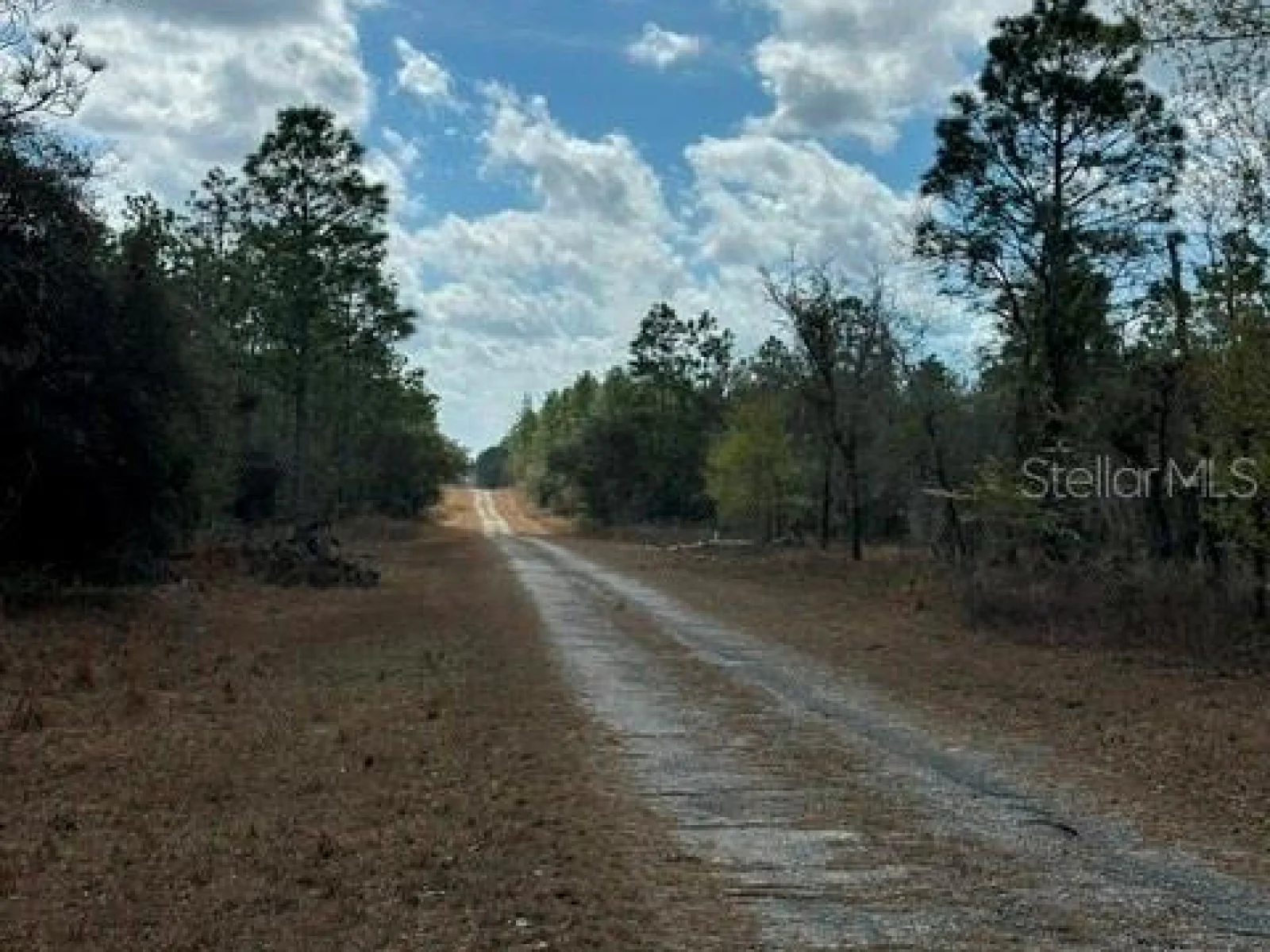 , OCALA, FL — photo 2