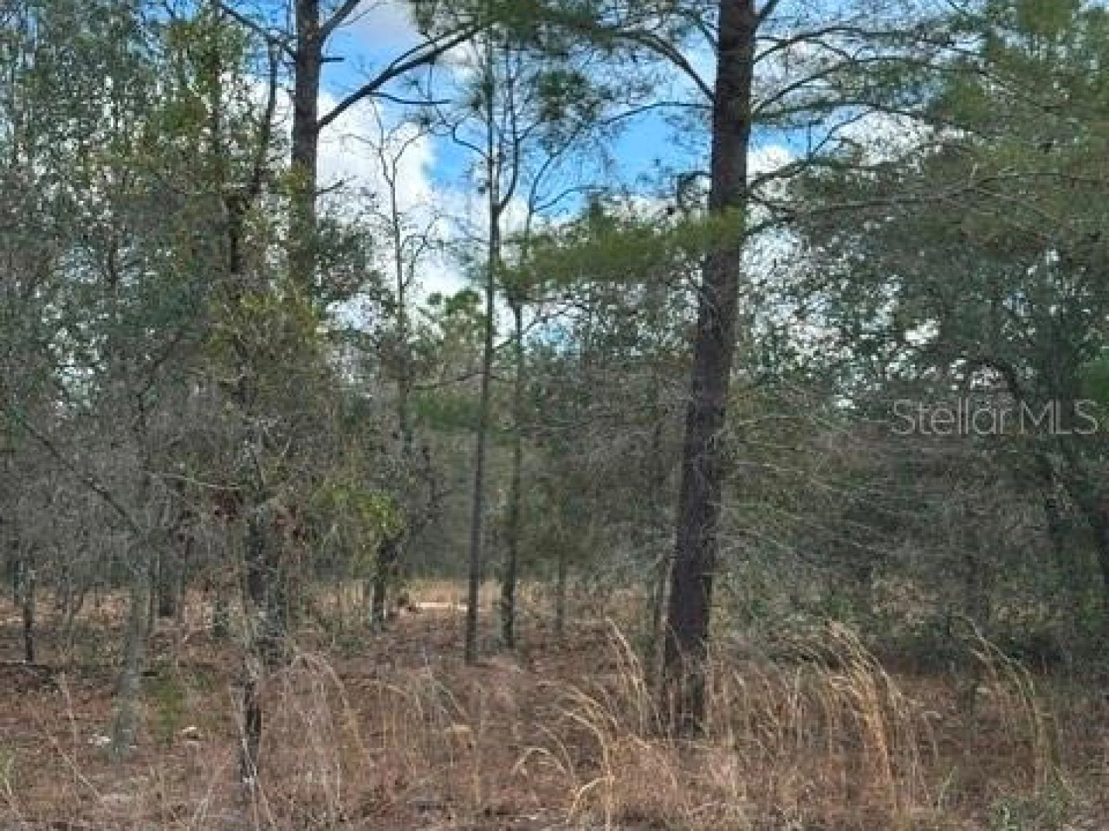 , OCALA, FL — photo 4