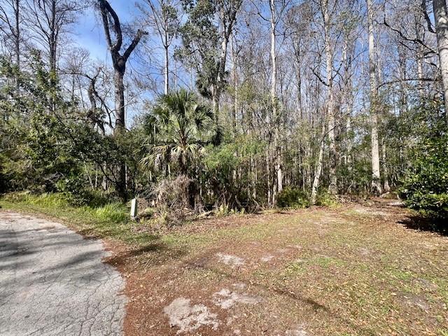 0 SOUTHWOOD CT, NEW PORT RICHEY, FL — photo 5